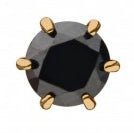 Initial Piercing  - 24k PVD titanium earrings - Pic&Mix The Body Jewellery Shop