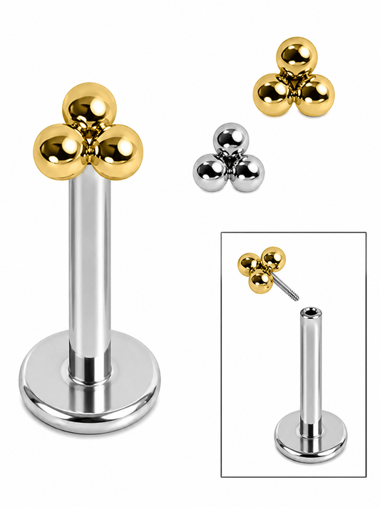Initial Piercing - Asia Trinity labret