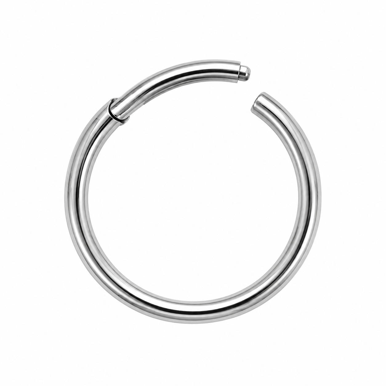 Surgical Steel Hinged Rings