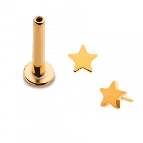 Initial Piercing  - 24k gold plated Star Labret - Pic&Mix The Body Jewellery Shop